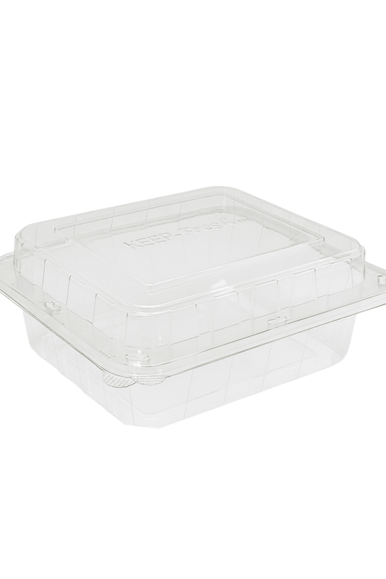 Jumbo Salad Hinged Lid Container - 100/CTN - TEM IMPORTS™