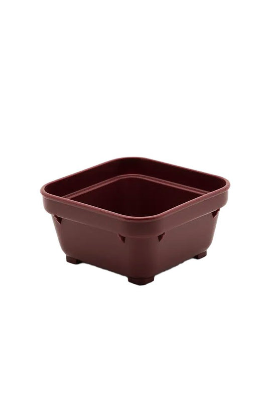 KH Healthcare 220mL Square Bowl Burgundy #19 (Box 12) - TEM IMPORTS™