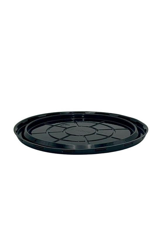 Large Cake Clearview Dome Lid Container - Black Base - TEM IMPORTS™