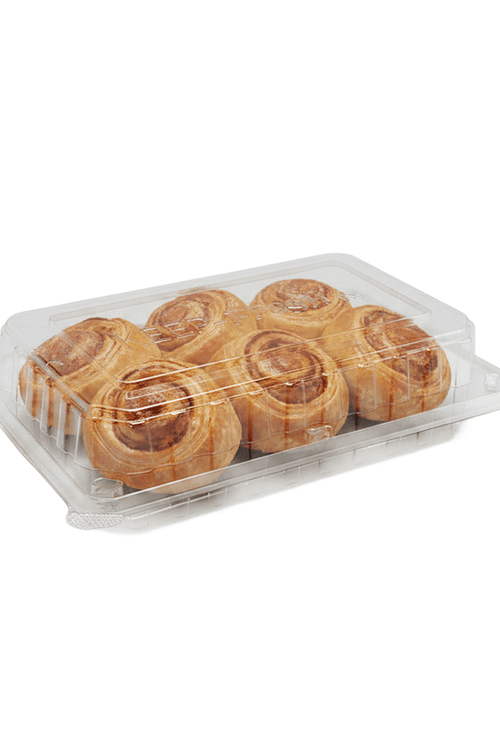 Large Cake Hinged Lid Container - 200/CTN - TEM IMPORTS™