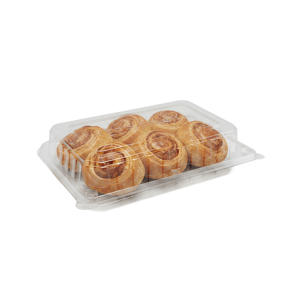 Large Cake Hinged Lid Container - 200/CTN - TEM IMPORTS™