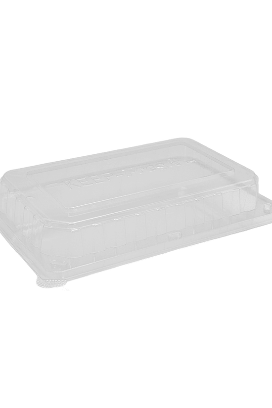 Large Cake Hinged Lid Container - 200/CTN - TEM IMPORTS™