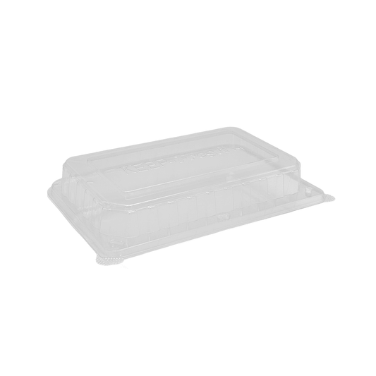 Large Cake Hinged Lid Container - 200/CTN - TEM IMPORTS™