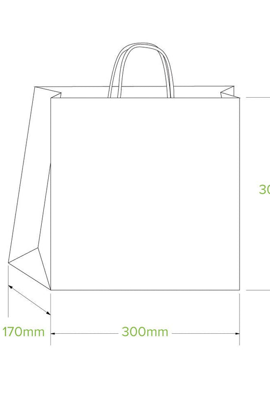 Large Twist Handle Kraft Paper Bags - 250/CTN - TEM IMPORTS™