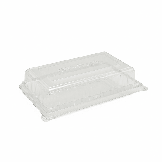 Medium Cake Hinged Lid Container - 200/CTN - TEM IMPORTS™