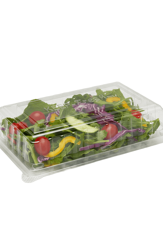 Medium Cake Hinged Lid Container - 200/CTN - TEM IMPORTS™