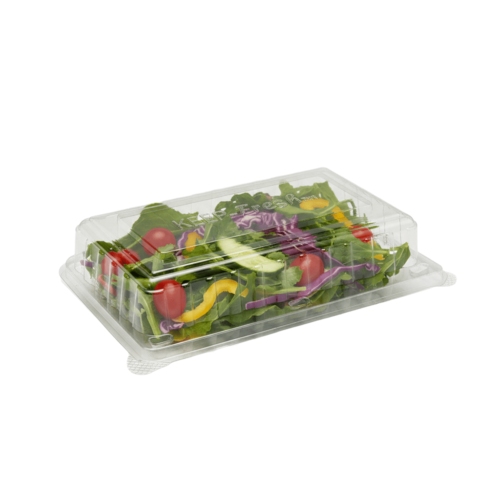 Medium Cake Hinged Lid Container - 200/CTN - TEM IMPORTS™