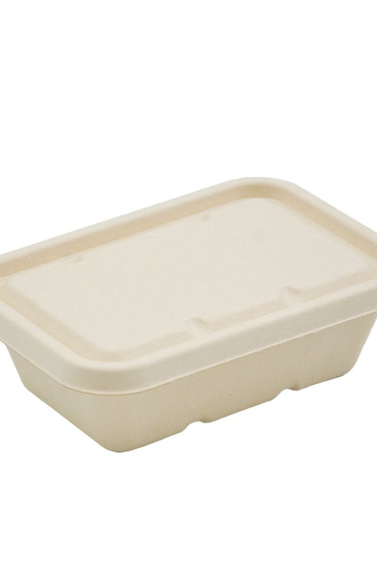 Natural Sugarcane Rectangular Lid suits 500/650/750mL - TEM IMPORTS™