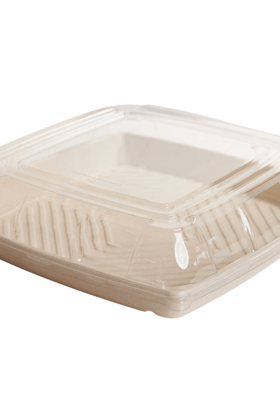 PET Lid To Suit Sugarcane Catering Tray - Large - TEM IMPORTS™