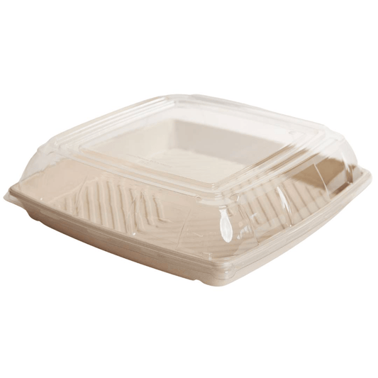 PET Lid To Suit Sugarcane Catering Tray - Large - TEM IMPORTS™