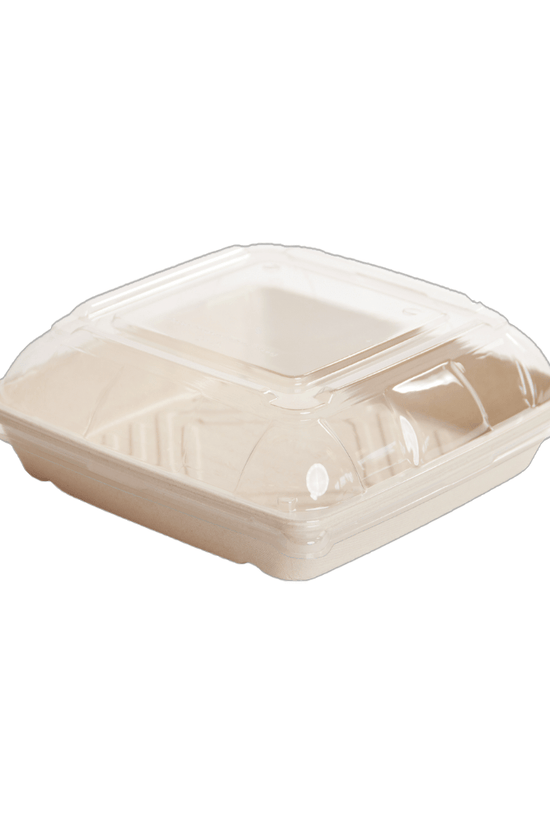 PET Lid To Suit Sugarcane Catering Tray - Small - TEM IMPORTS™