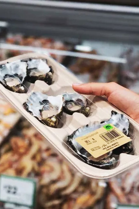 Plant Fibre 6 Pack Oyster Tray Base - 400/CTN - TEM IMPORTS™