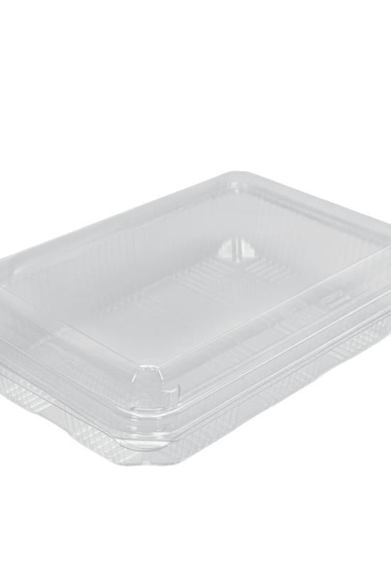 Premium Clear PET Hinged Lid 4 - Roll Sushi Container - TEM IMPORTS™