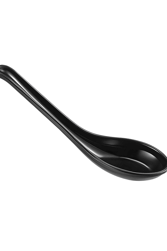 Re-usable Large Plastic Chinese Soup Spoon Hook Style Black - TEM IMPORTS™