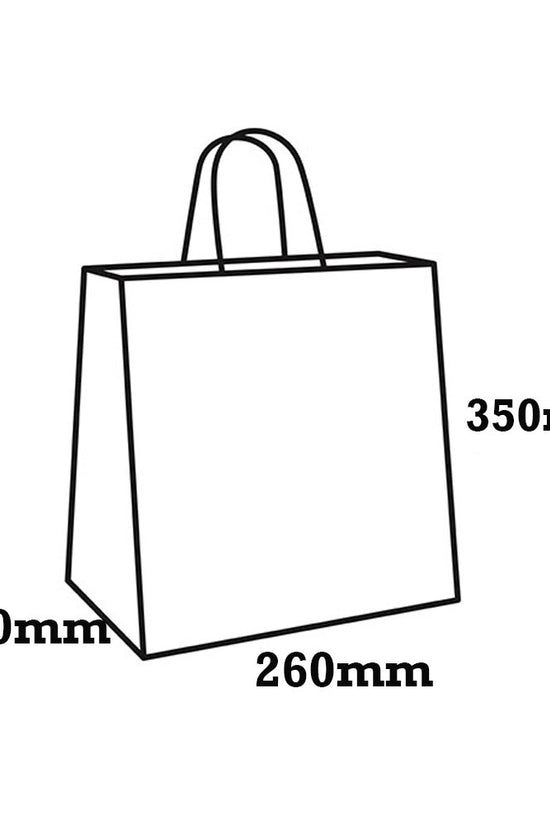Retail Takeaway Kraft Twisted Handle Paper Bag - Medium H350 - TEM IMPORTS™