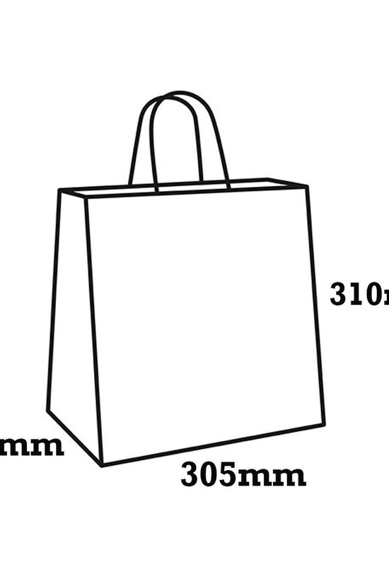 Retail Takeaway Kraft Twisted Handle Paper Bag - Medium (UberEats Styled) - TEM IMPORTS™