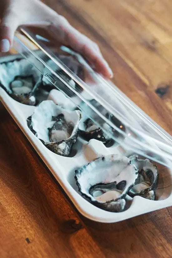 RPET Oyster Tray Lid - 400/CTN - TEM IMPORTS™