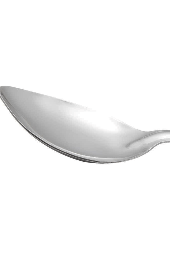 Serving Spoon Plain Stainless Steel - TEM IMPORTS™