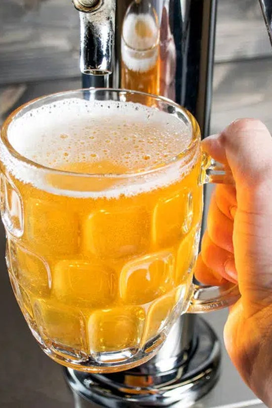 Sheffield® Dimple Beer Mug Glass - 285mL - TEM IMPORTS™