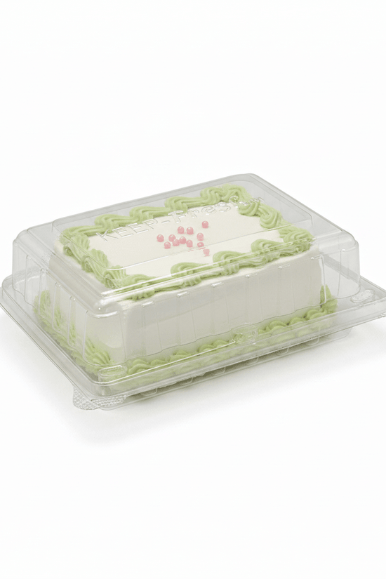 Small Cake Hinged Lid Container - 250/CTN - TEM IMPORTS™