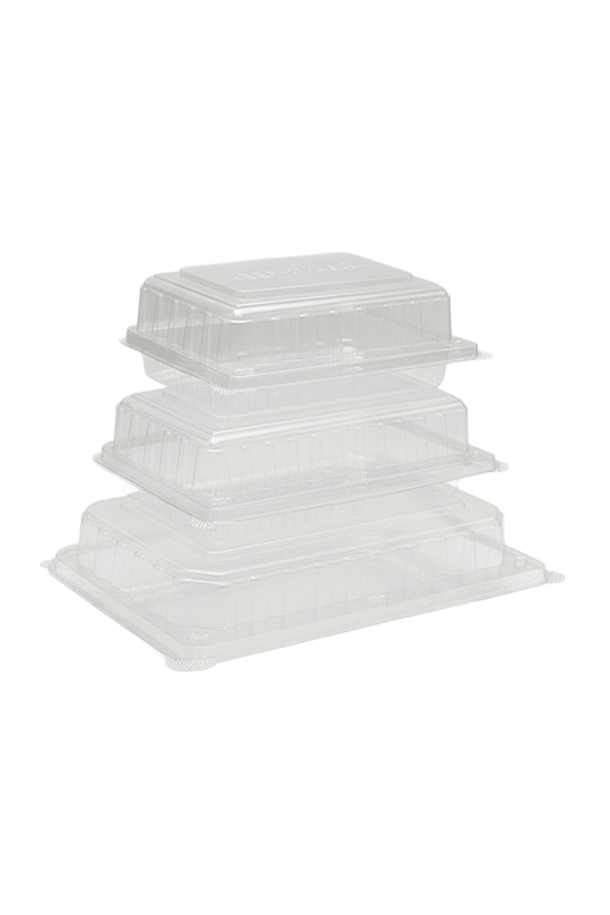 Small Cake Hinged Lid Container - 250/CTN - TEM IMPORTS™