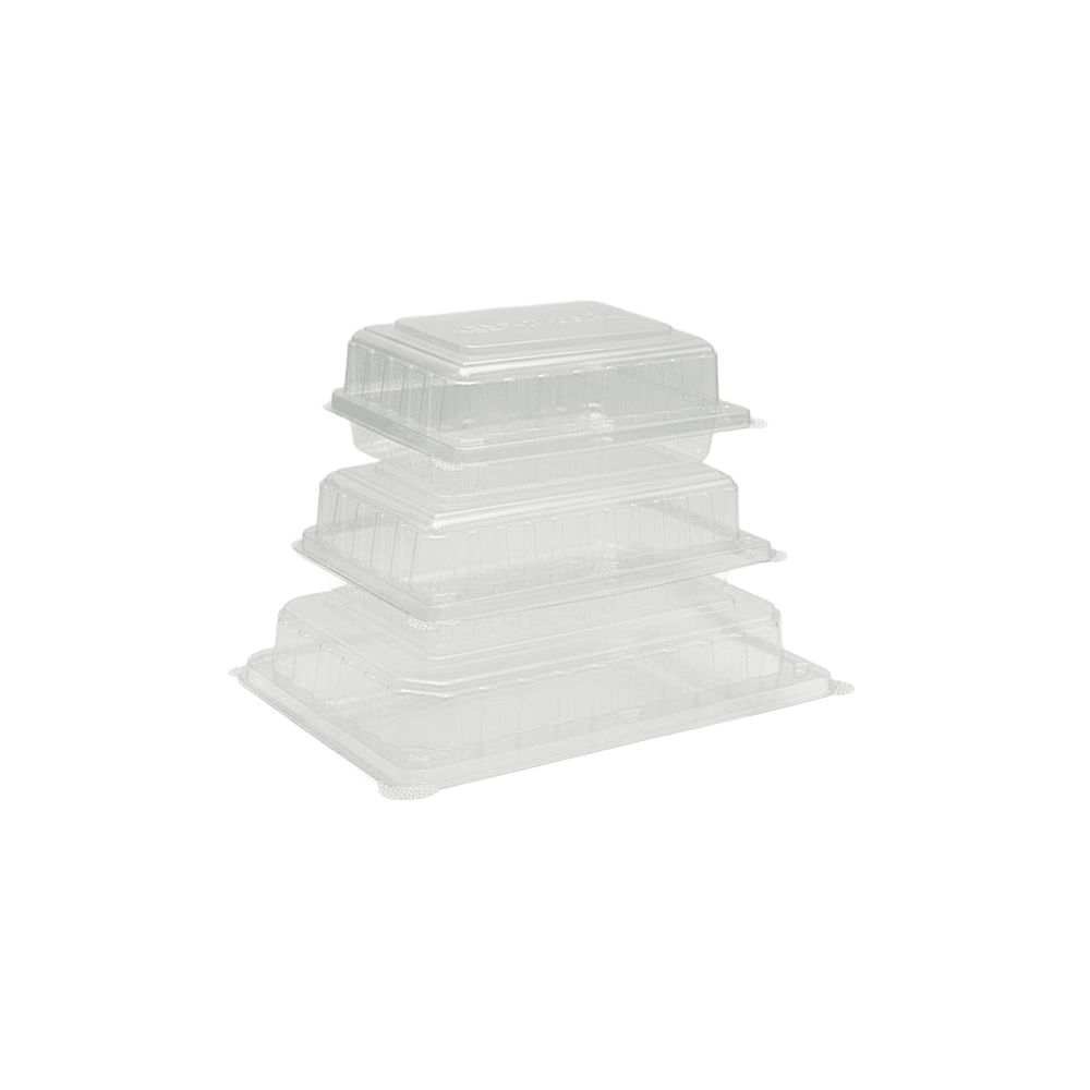 Small Cake Hinged Lid Container - 250/CTN - TEM IMPORTS™