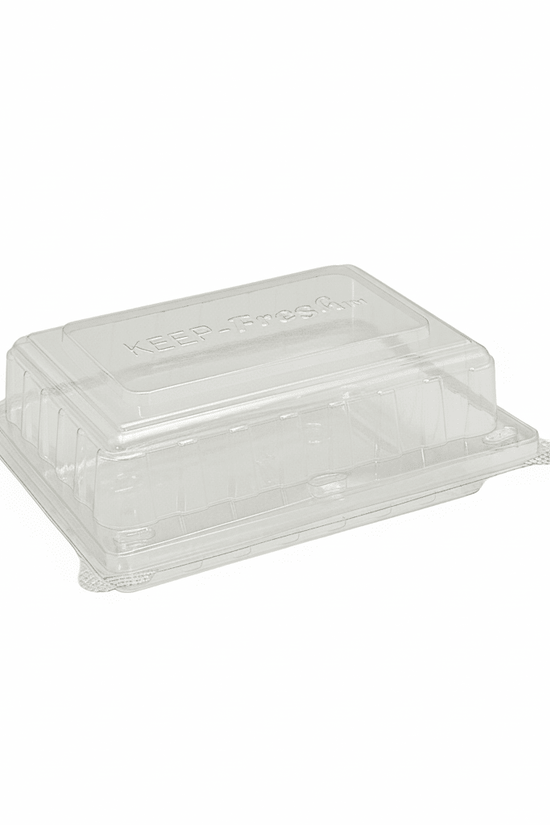 Small Cake Hinged Lid Container - 250/CTN - TEM IMPORTS™