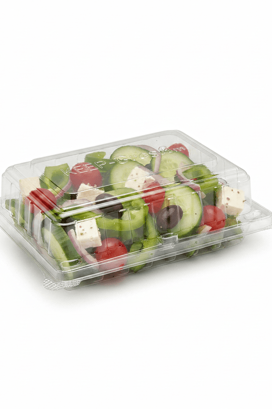 Small Cake Hinged Lid Container - 250/CTN - TEM IMPORTS™