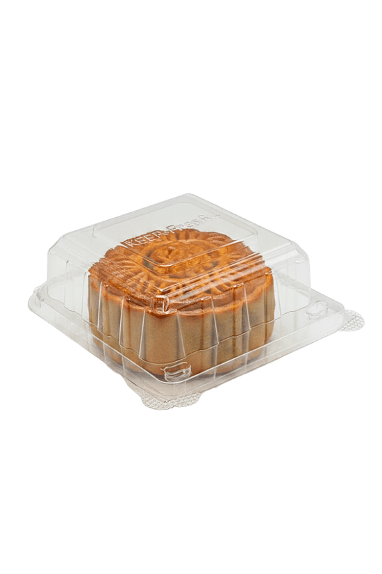 Small Square Cake Hinged Lid Container - 250/CTN - TEM IMPORTS™