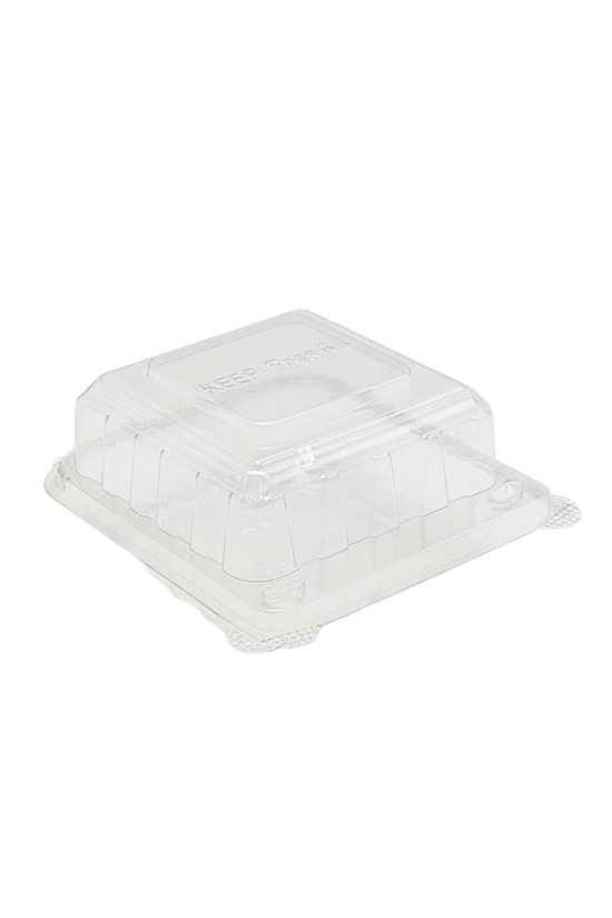 Small Square Cake Hinged Lid Container - 250/CTN - TEM IMPORTS™