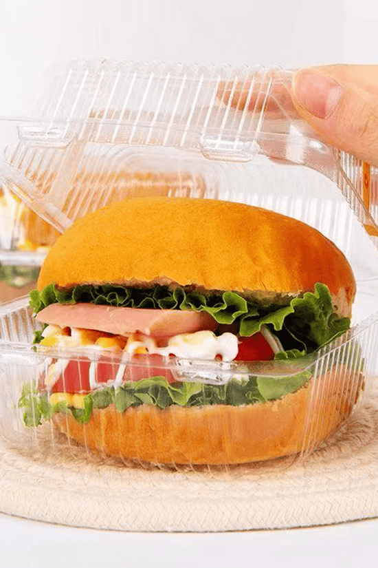 Square Plastic Cake Hinged Lid Container - TEM IMPORTS™