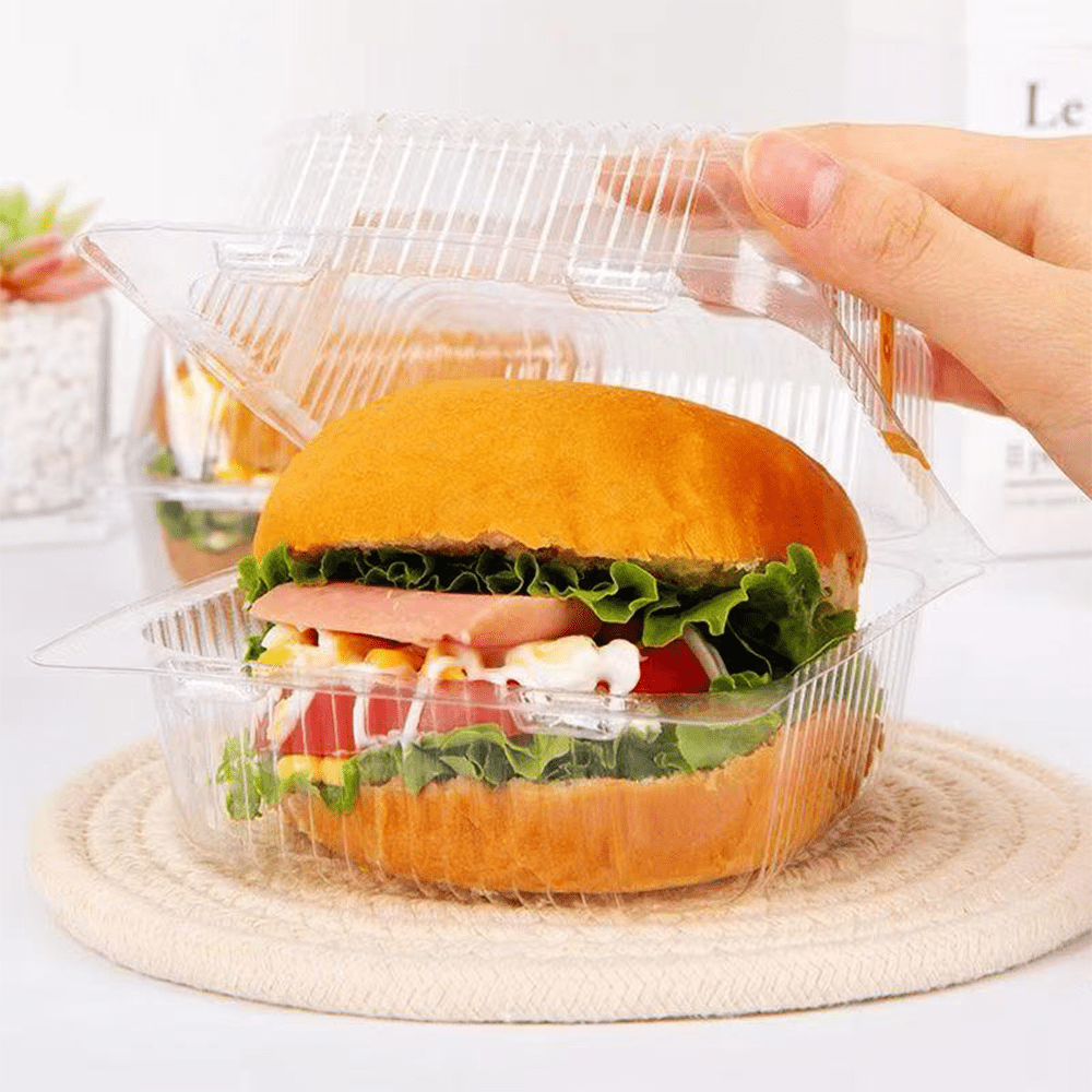 Square Plastic Cake Hinged Lid Container - TEM IMPORTS™