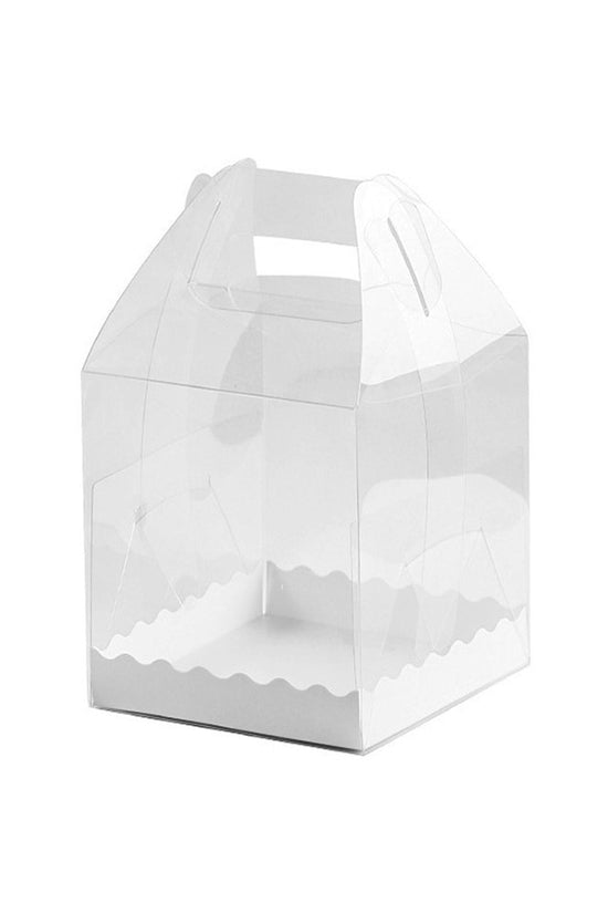 110x110x110 Square Transparent Box With Handle - TEM IMPORTS™