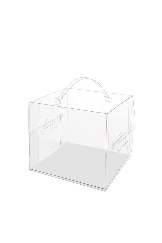 110x110x110mm Clear Square Box With Handle - TEM IMPORTS™