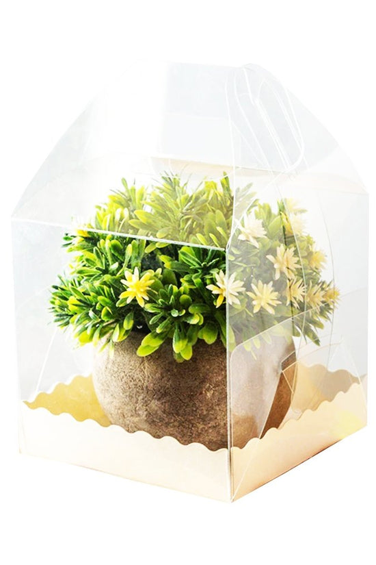 130x130x110 Square Transparent Box With Handle - TEM IMPORTS™