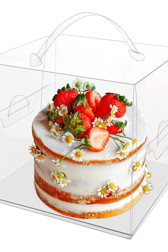 150x150x130mm Clear Square Box With Handle - TEM IMPORTS™