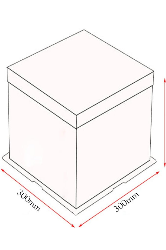 30x30x25 Clear Square Cake Box - White - TEM IMPORTS™