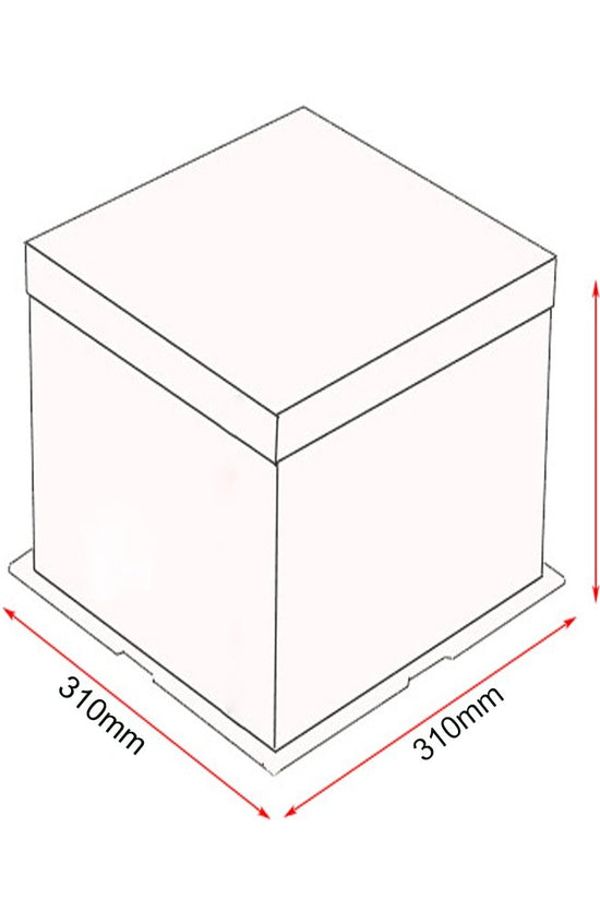 31x31x34 Clear Square Cake Box-Green Teal - TEM IMPORTS™