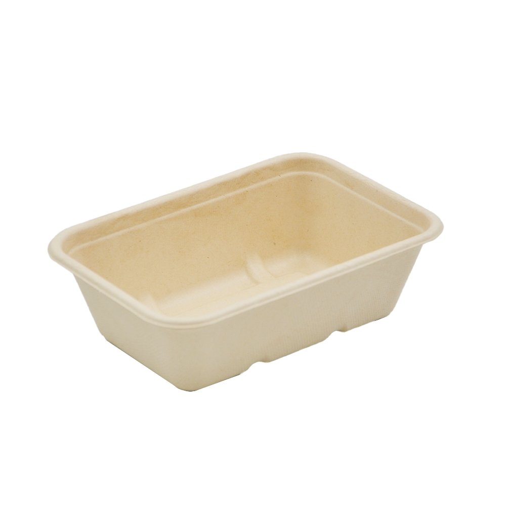 650mL Natural Sugarcane Rectangular Container 