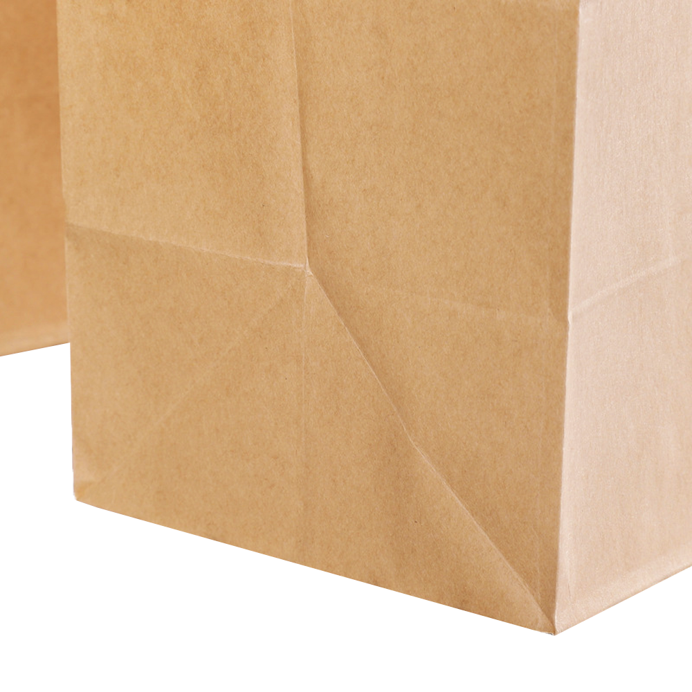 Retail Takeaway Brown Kraft Die-Cut Handle Paper Bag - TEM IMPORTS™